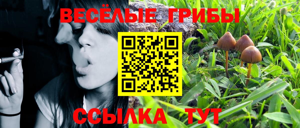 Еманжелинск  Галлюциногенные грибы MAGIC MUSHROOMS  Вход с VPN 